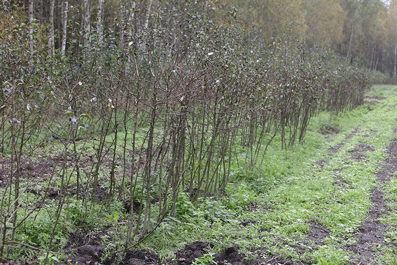 Счастливый человек Александр Подковка-24