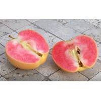 Яблоня Пинк Перл (красная мякоть)