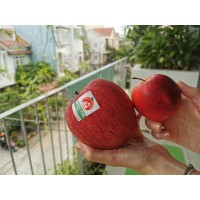 Яблоня Секаи Ши